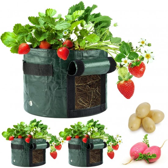 EXQUI 3 Pack 3 Gallon Fabric Plant Grow Bags