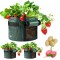 EXQUI 3 Pack 3 Gallon Fabric Plant Grow Bags