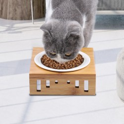 Cat Bowls with Stand Eco Friendly Pet Bowls for Feeding Food and Water